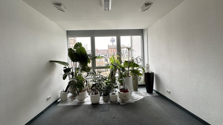 Schickes Bürogebäude zu fairen Preisen am Ring